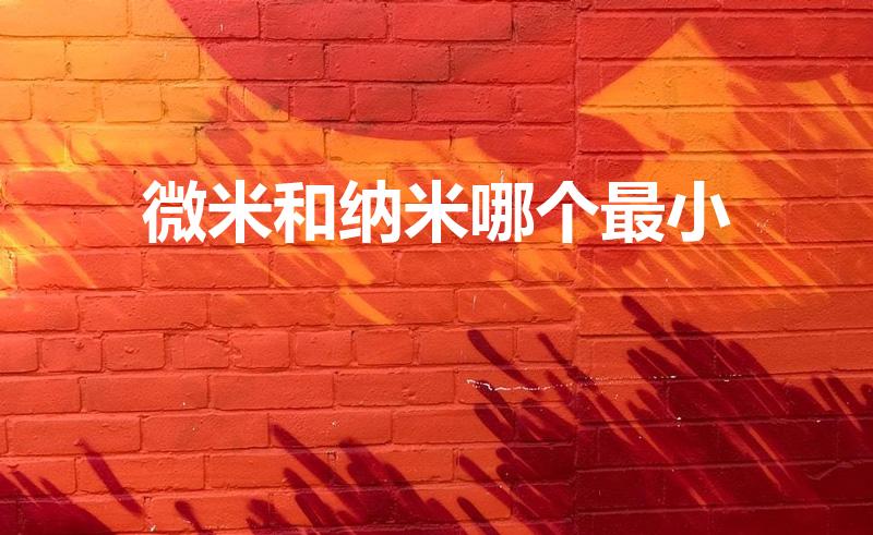 微米和纳米哪个最小（微米和纳米哪个小）