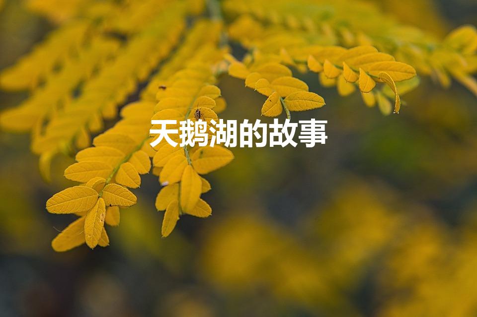 天鹅湖的故事（天鹅湖的原版故事）