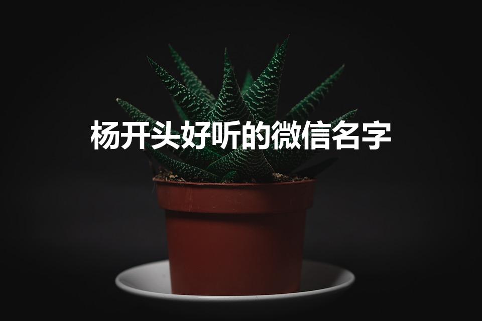 杨开头好听的微信名字（用杨姓取个微信名）