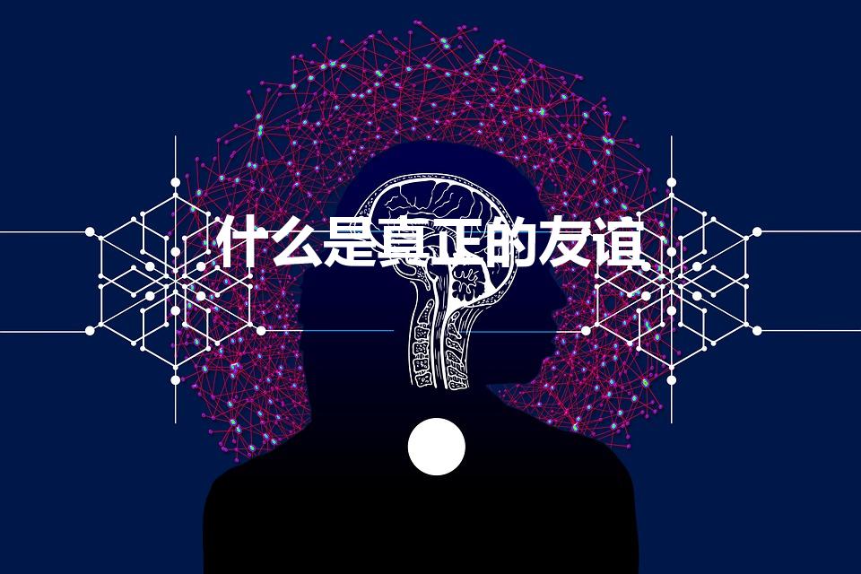 什么是真正的友谊（什么才是真正的友谊）