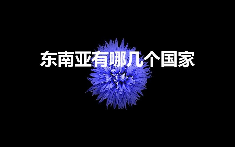 东南亚有哪几个国家（东南亚包括哪几个国家）