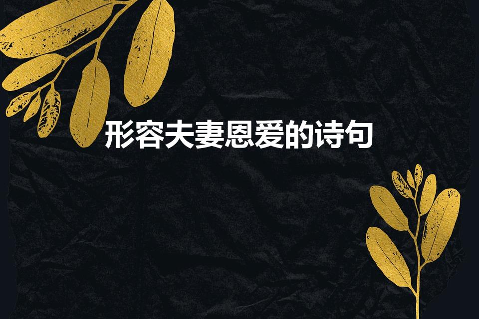 形容夫妻恩爱的诗句（形容老夫妻恩爱的诗句）