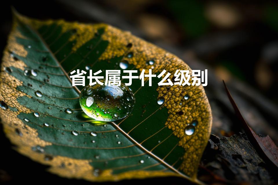 省长属于什么级别（省长什么行政级别）
