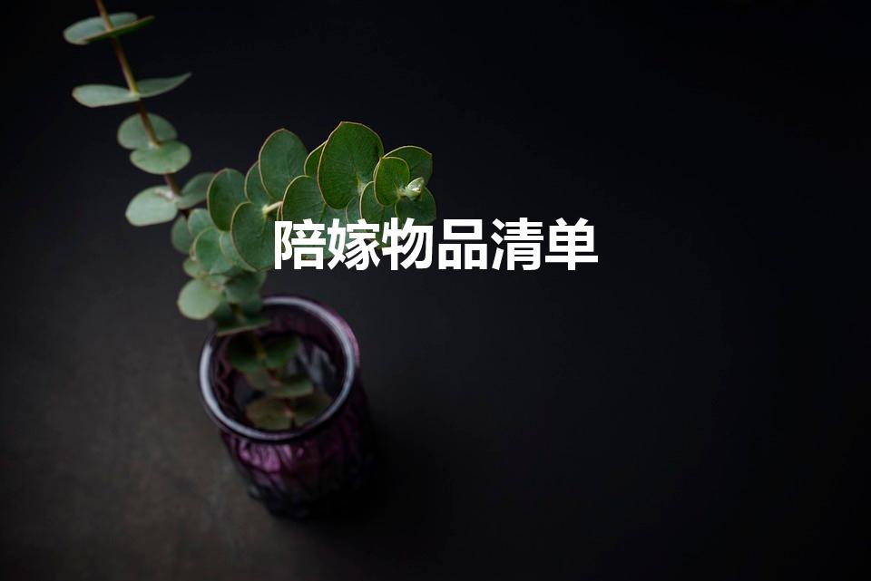 陪嫁物品清单（女儿出嫁需要陪嫁哪些东西）