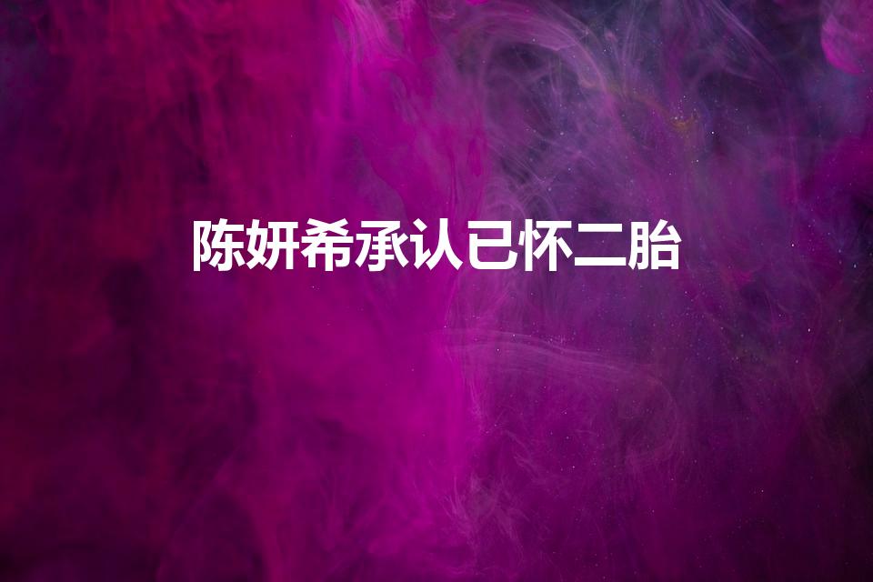 陈妍希承认已怀二胎（陈晓陈妍希计划生二胎,你怎么看）
