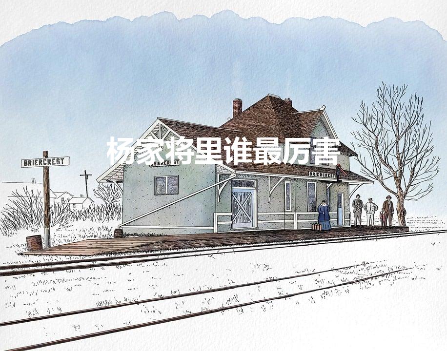 杨家将里谁最厉害