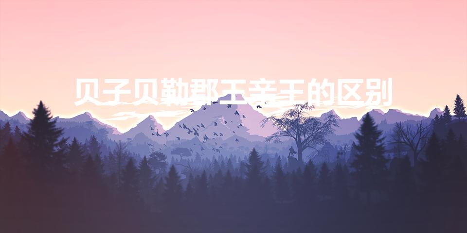 贝子贝勒郡王亲王的区别
