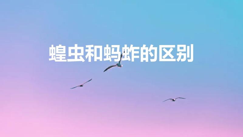 蝗虫和蚂蚱的区别（蚂蚱和蝗虫的区别）