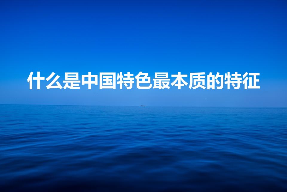 什么是中国特色最本质的特征