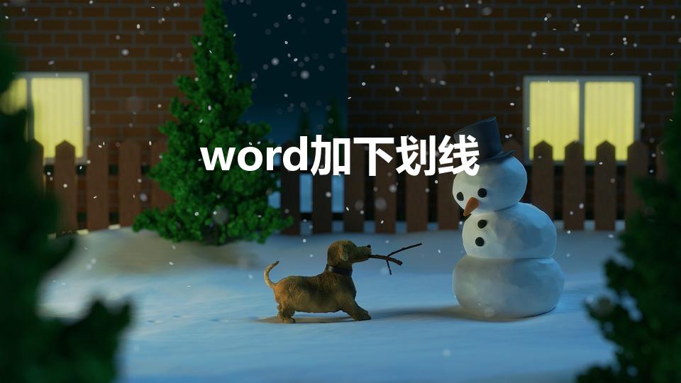 word加下划线（word怎么加下划线）