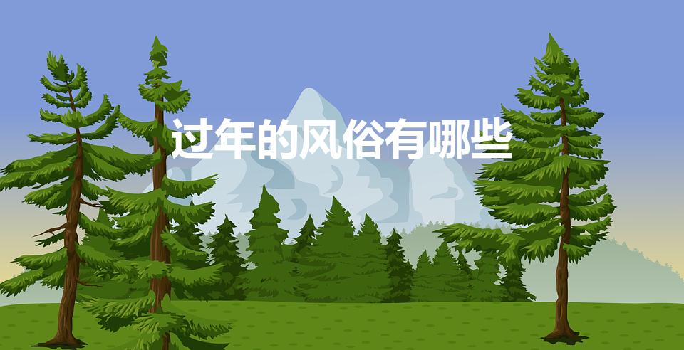 过年的风俗有哪些（过年有哪些风俗）