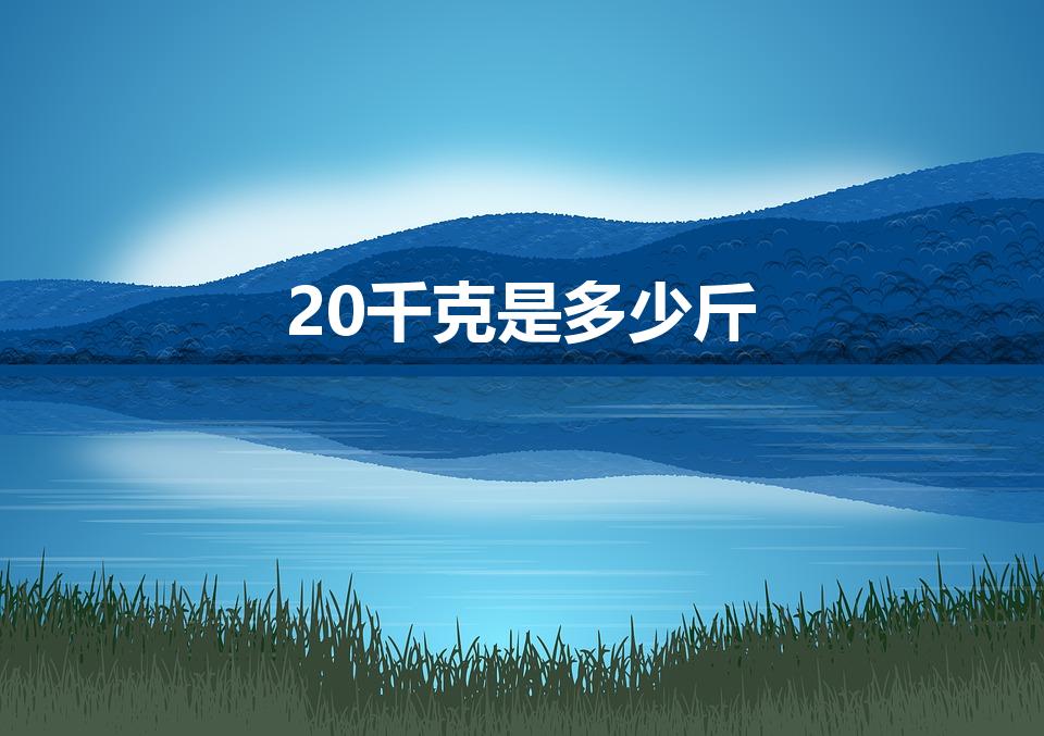 20千克是多少斤（20KG是多少斤重量）