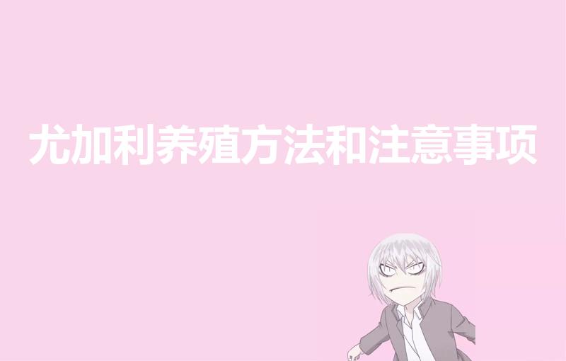 尤加利养殖方法和注意事项（尤加利叶的养殖方法和注意事项）