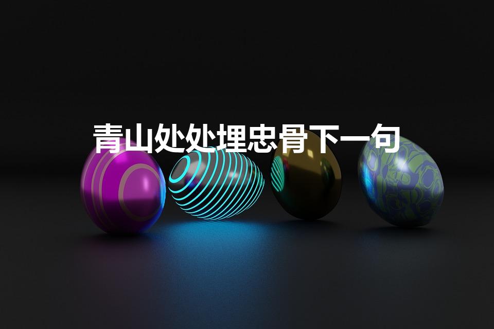 青山处处埋忠骨下一句
