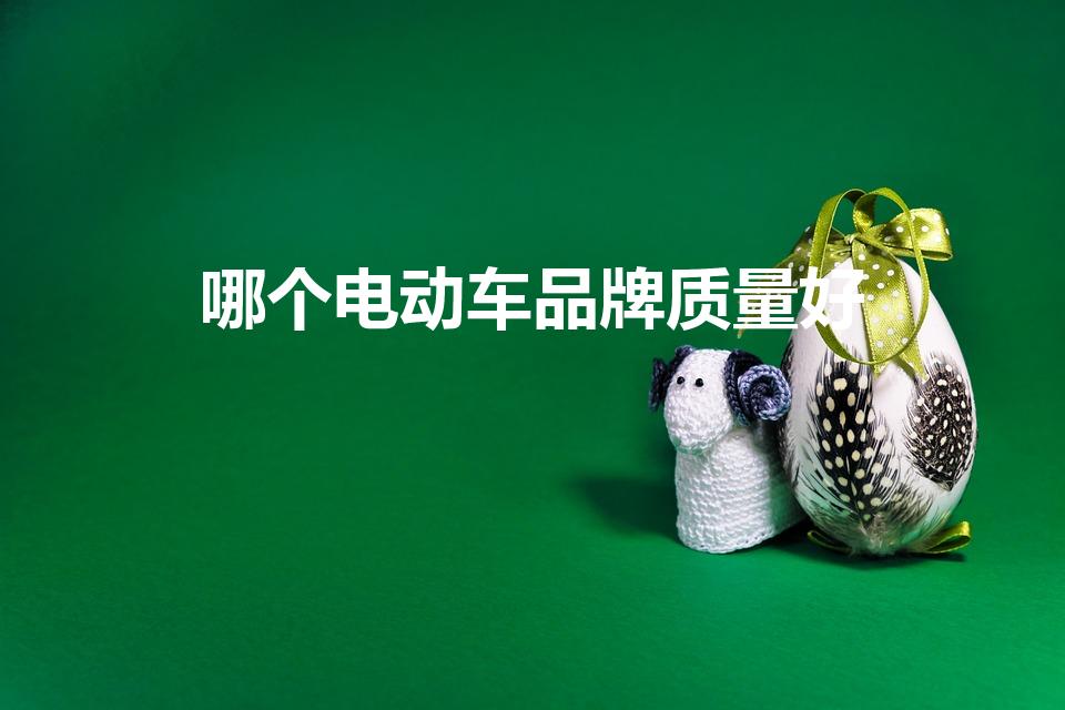 哪个电动车品牌质量好（电动车哪个牌子质量好）