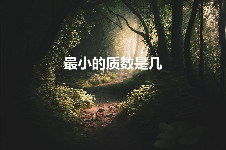 最小的质数是几（最小的质数是什么）