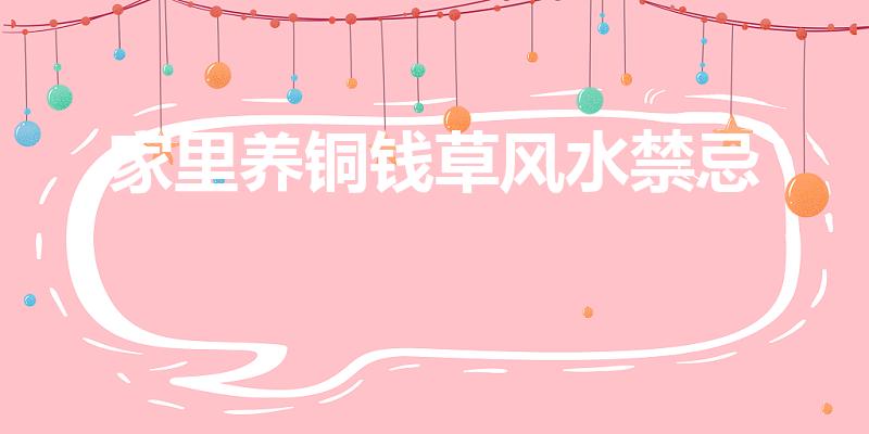 家里养铜钱草风水禁忌（家里为什么不能养铜钱草）