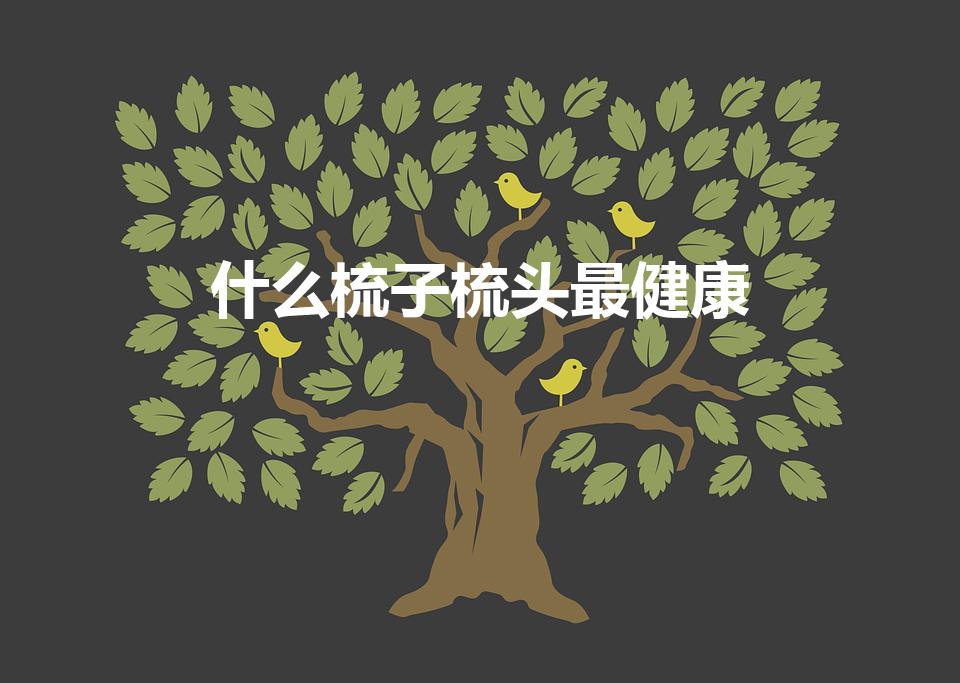 什么梳子梳头最健康（什么材质的梳子对头部好）