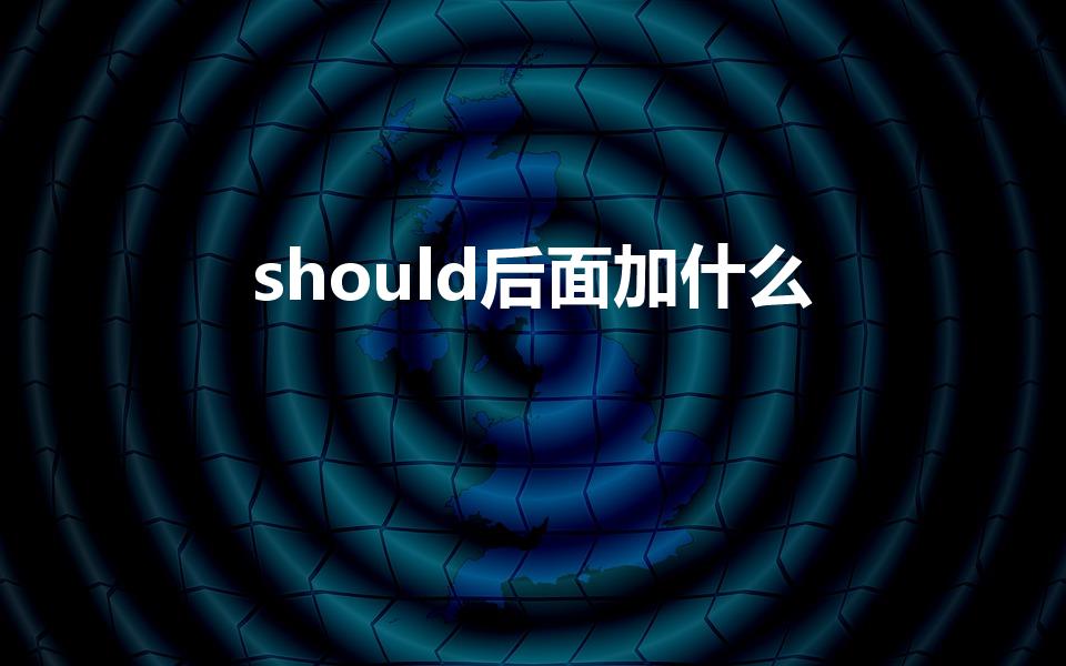 should后面加什么（should后面动词是什么形式）