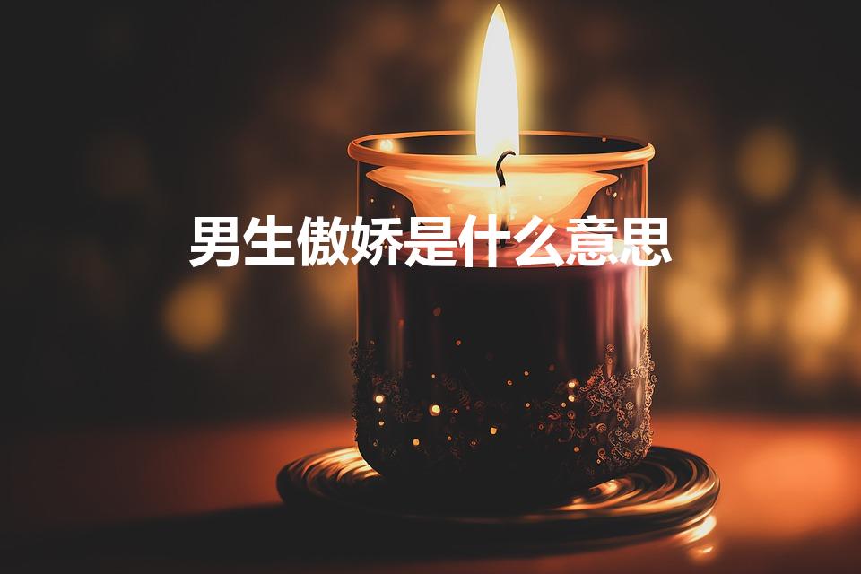 男生傲娇是什么意思（说男生傲娇是什么意思）
