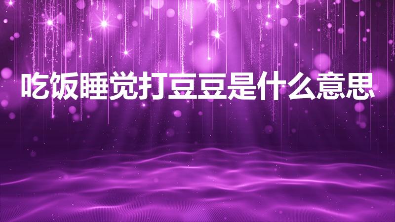 吃饭睡觉打豆豆是什么意思（吃饭睡觉打豆豆,是什么意思）