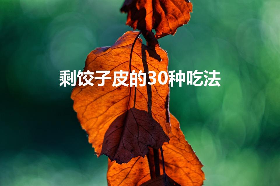 剩饺子皮的30种吃法（剩下的饺子皮还可以做什么）