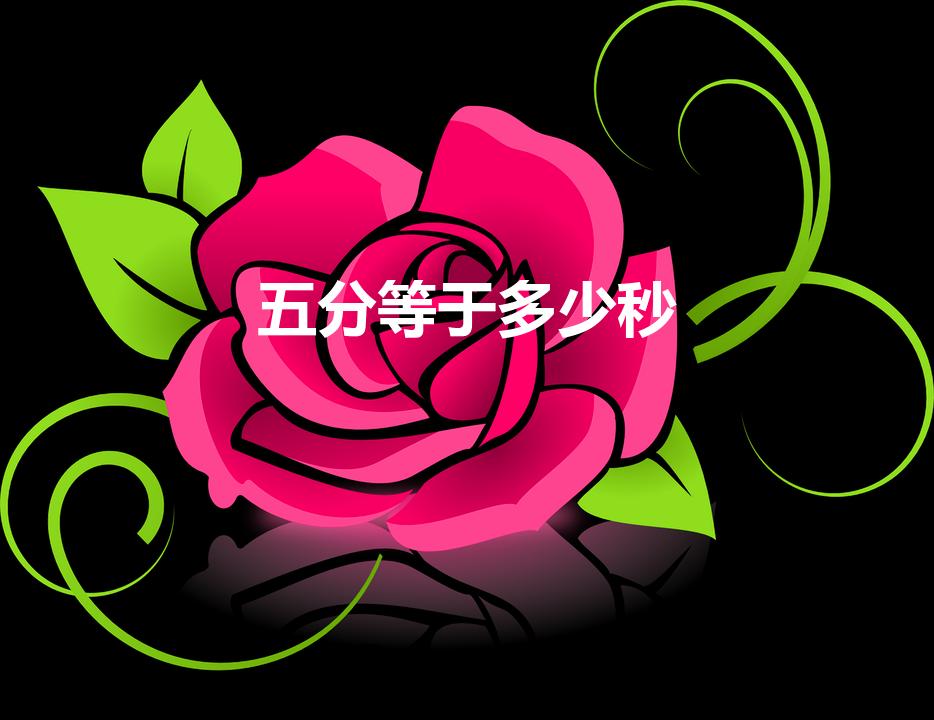 五分等于多少秒（五分钟等于多少秒）
