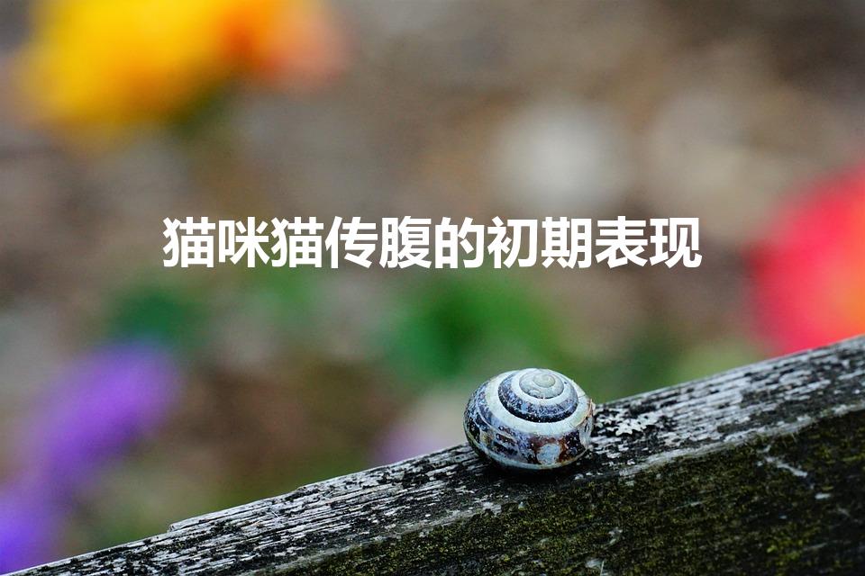 猫咪猫传腹的初期表现（猫咪的传腹早期症状是什么）