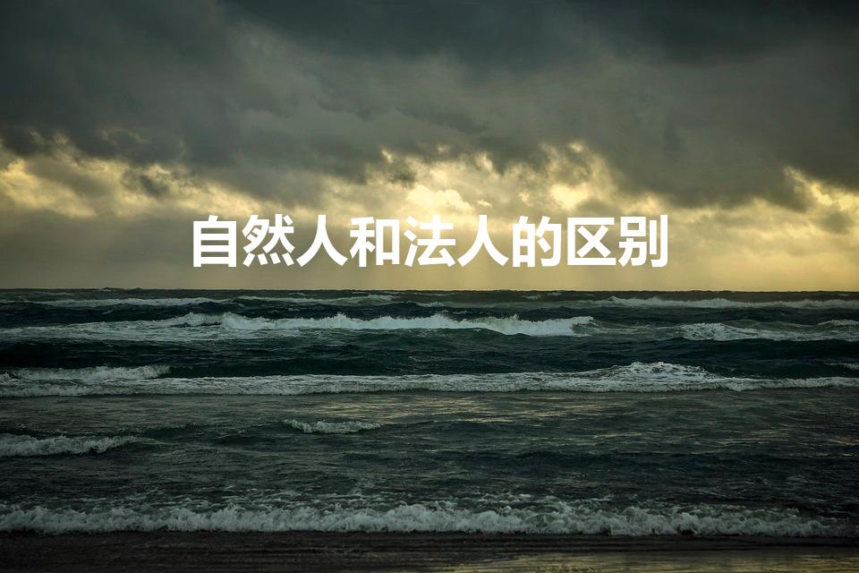 自然人和法人的区别（自然人与法人的区别是什么）
