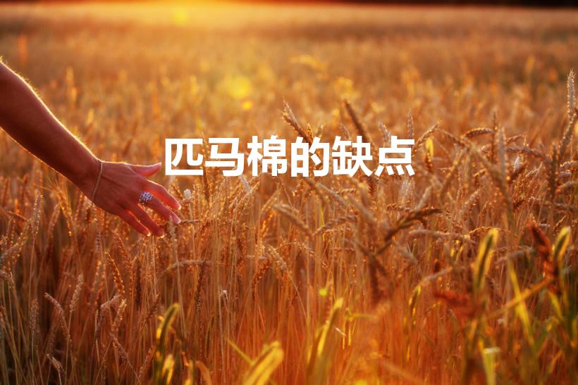 匹马棉的缺点（匹马棉的缺点,匹马棉是不是没有全棉的好）
